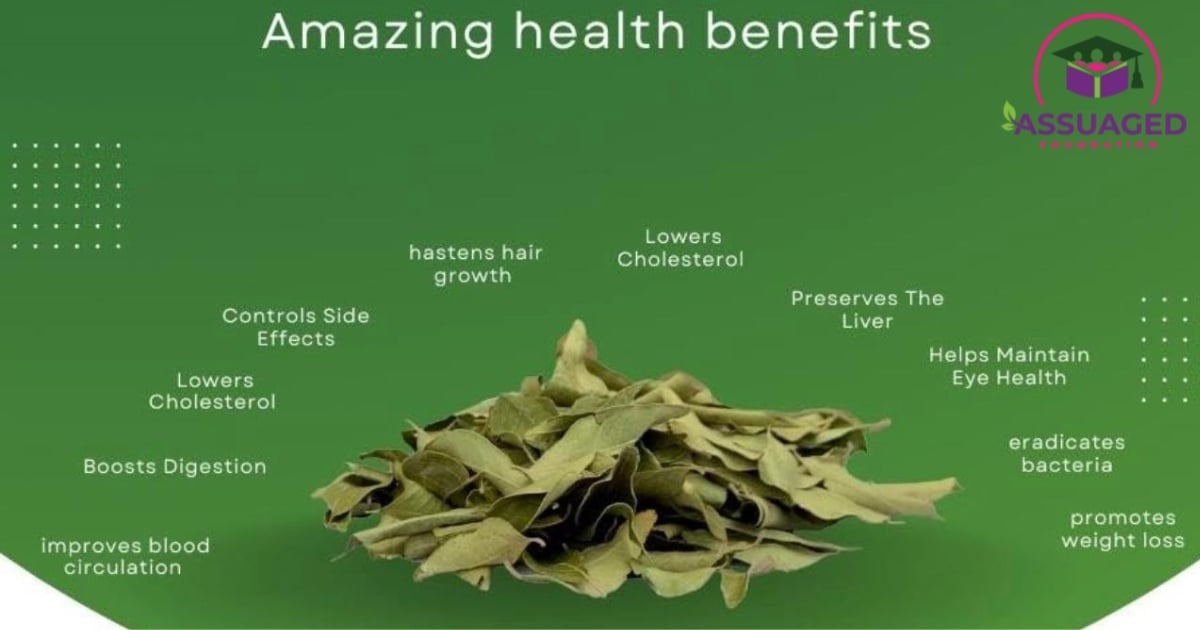 curry-leaves--the-ayurvedic-superleaf-for-health,-hair-and-skin-4