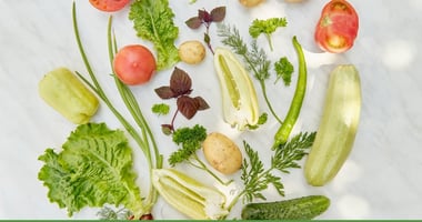 the-power-of-plants-health-environmental-spiritual-benefits