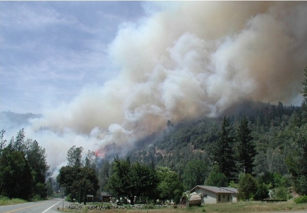 wildfire-burning-forest-near-road-and-house