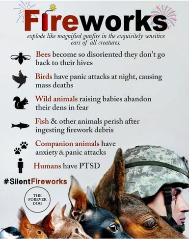 graphic-summarizing-effects-of-fireworks-on-humans-and-animals