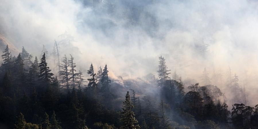 Assuaged-wildfire-1