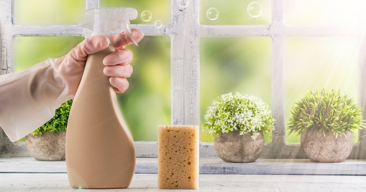 Canva-Blog-Natural-Sponge-Cleaner-Image