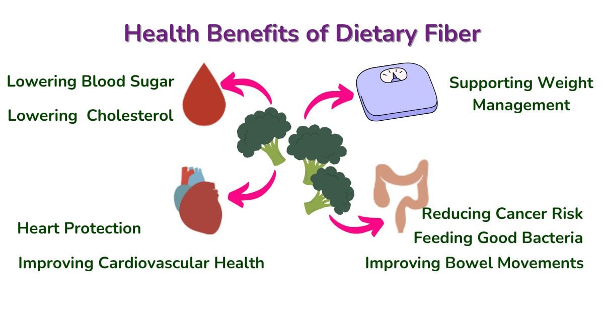 Comparing_Dietary_Guideline_Plates_Blog_Fiber