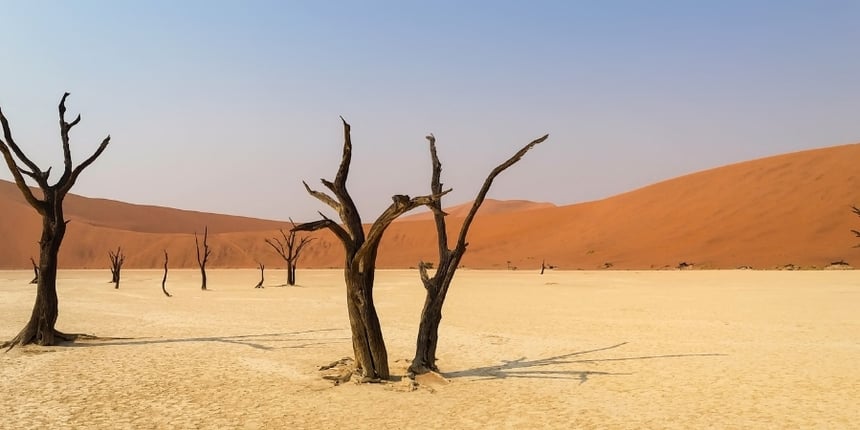 photo-of-desert-landscape-with-dead-trees