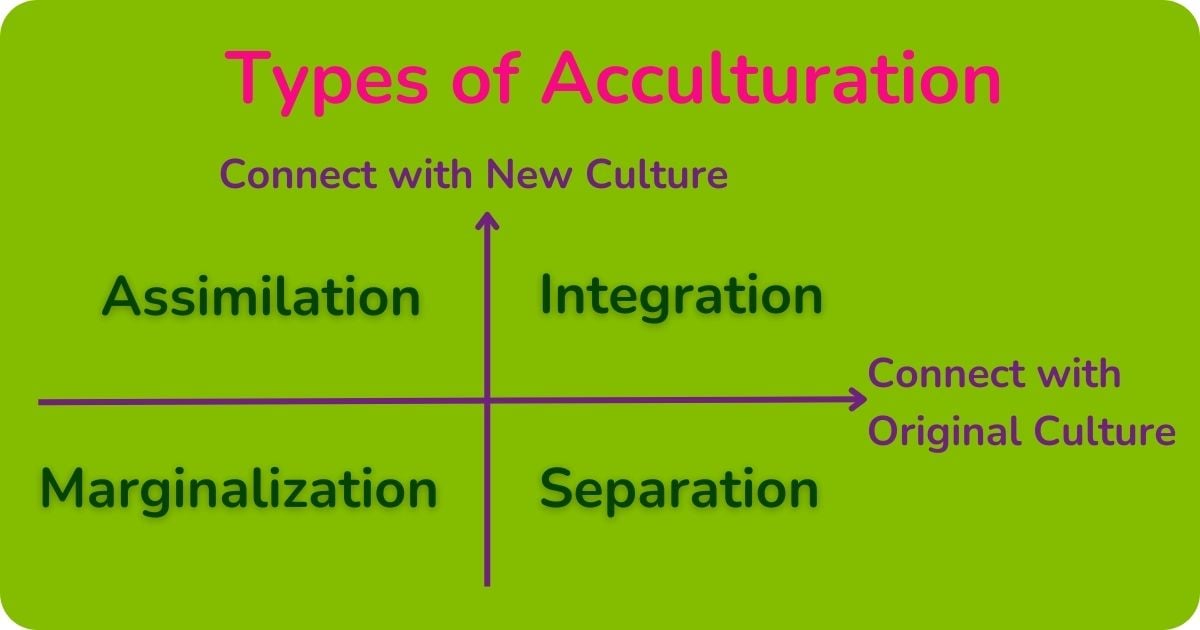 International_Students_Gain_Weight_Blog_Acculturation