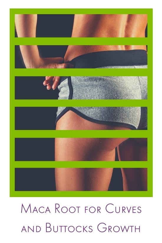 Maca for Curves and Buttocks Growth: Does It Actually Work? | Assuaged Maca for Curves and Buttocks Growth: Does It Actually Work? | Assuaged