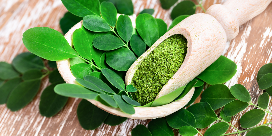 Moringa-powder-photo