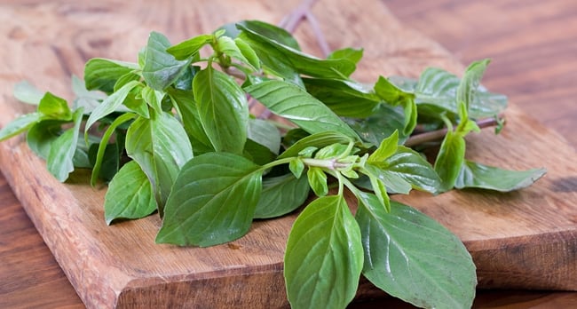 Organic Cherry Tomato & Basil Pasta Recipe 2