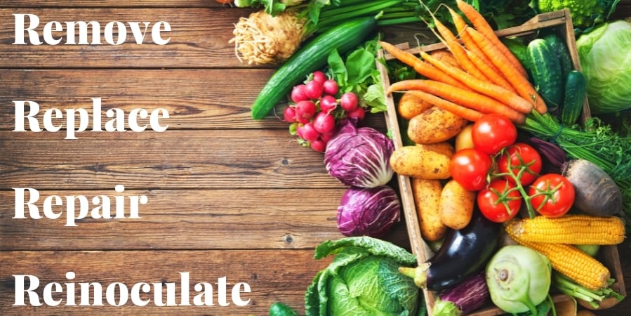 remove-replace-repair-reinoculate-with-vegetables