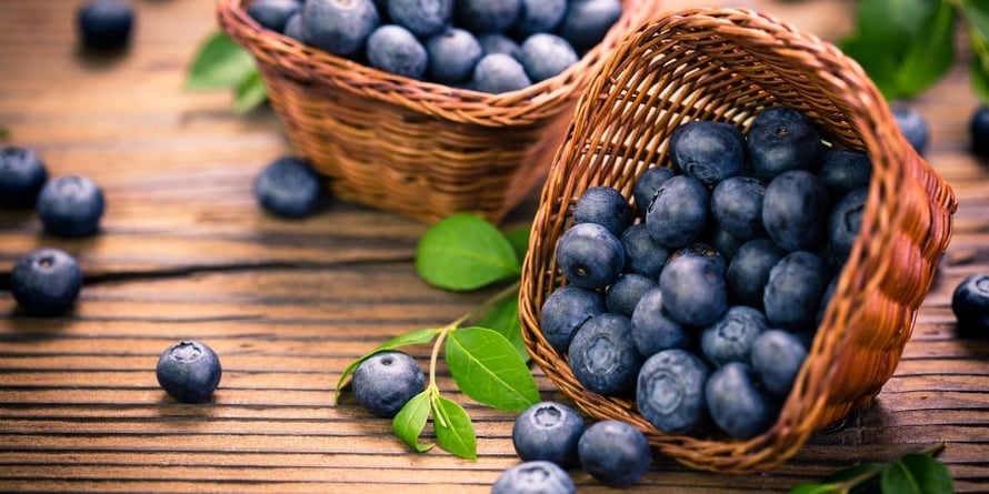 blueberries-for-osteoarthritis-and-joint-pain 2