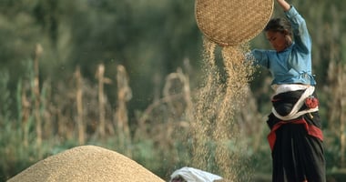 exploring-nepals-nutritional-journey-a-seasonal-culinary-adventure