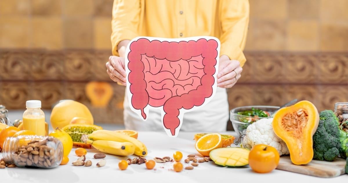 gut-health-for-physical-and-mental-wellness