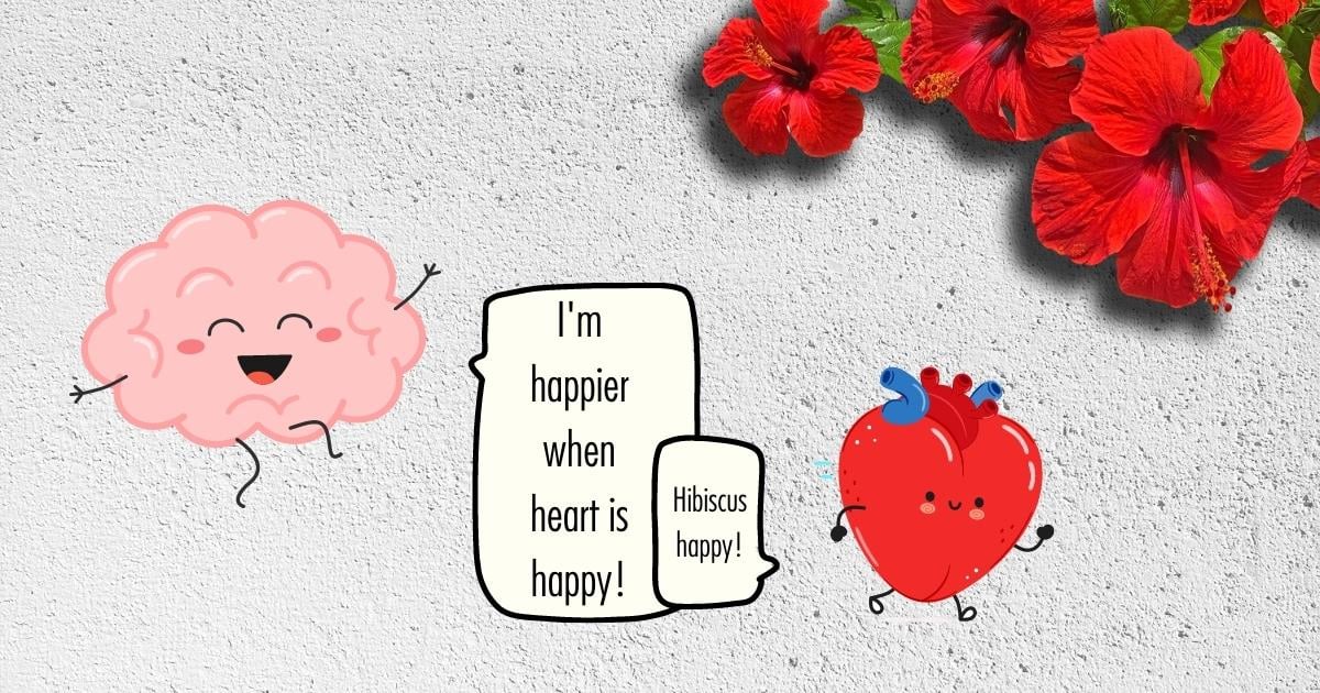 health-benefits-of-hibiscus-happy-heart-makes-brain-happy-cartoon-assauged