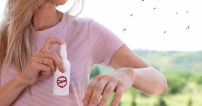 insect-borne-illness-prevention-stay-safe-from-mosquitoes-and-ticks 2