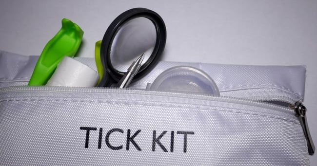 insect-borne-illness-prevention-stay-safe-from-mosquitoes-and-ticks 7