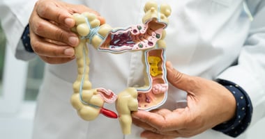 managing-your-gut-health-assuaged-blog-kaylnn-pitts