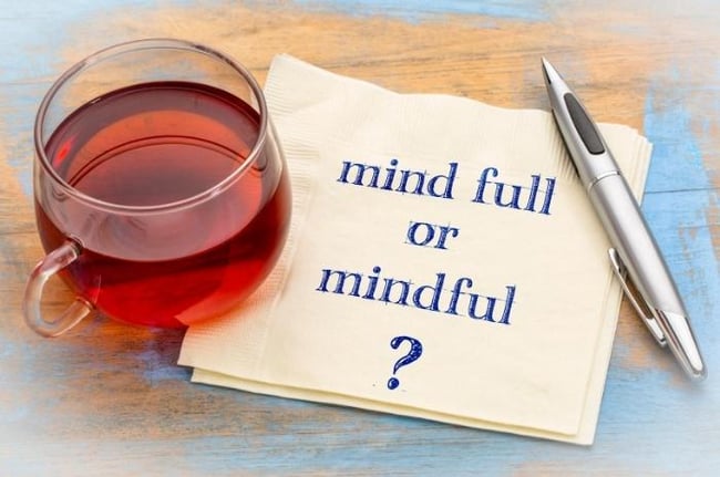 mindful-or-mind-full-question-on-midfulness
