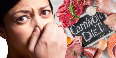 veganism-and-carnism-eating-animals-is-a-social-justice-issue