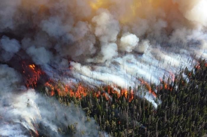 wildfires-consuming-the-forest-and-burning-the-land