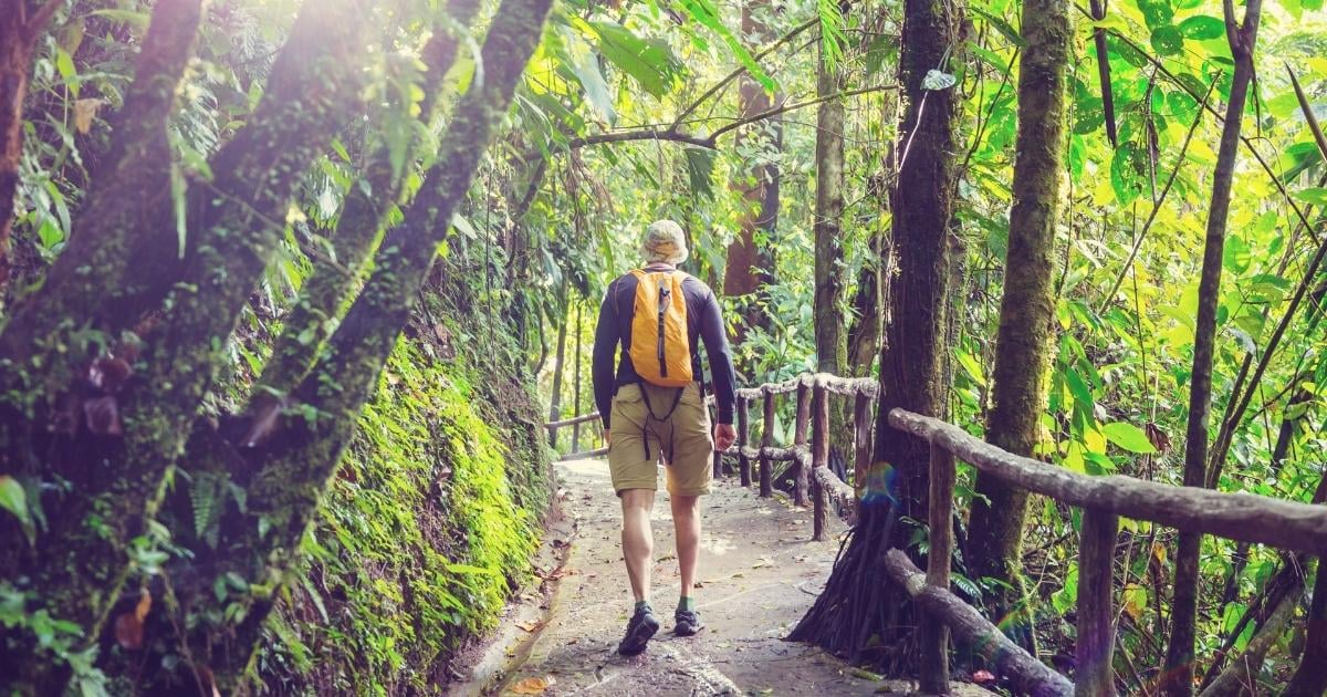 Assuaged-Blog-Costa-Rica-Jungle-Walking-Image