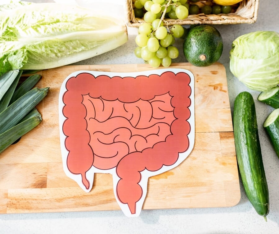 paper-cutout-of-a-cartoon-digestive-tract-on-a-cutting-board-surrounded-by-vegetables