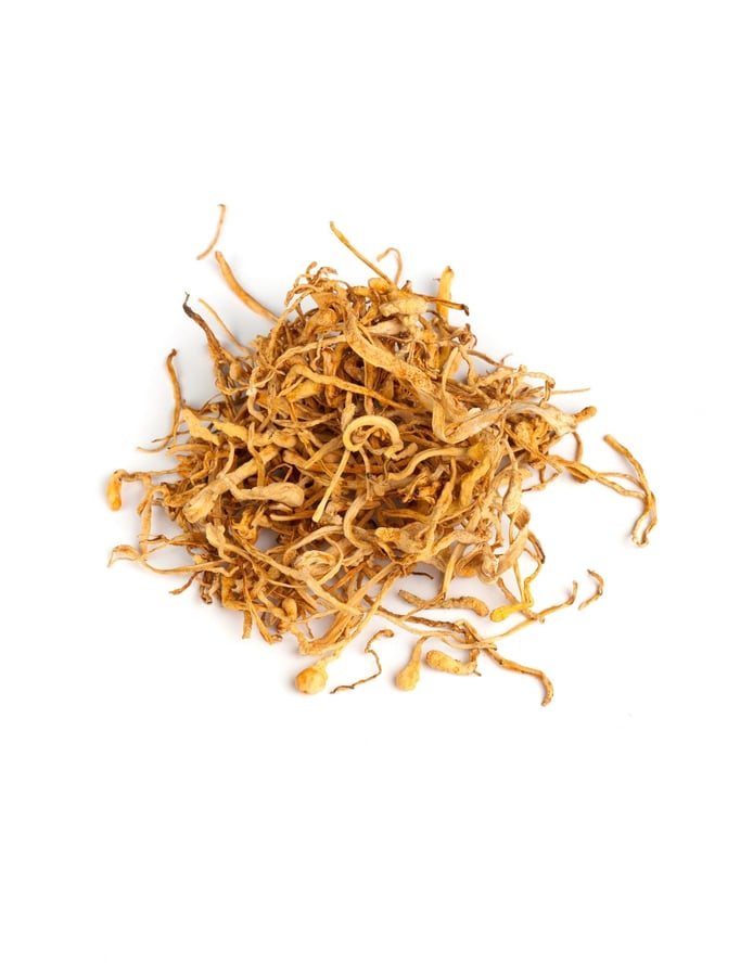 cordyceps-benefits-assuaged