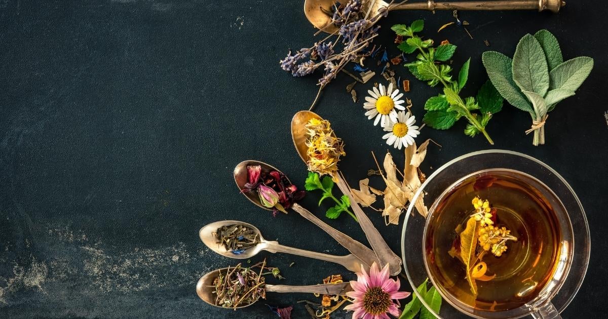 effective-plant-based-strategies-to-improve-digestive-problems-Jun-29-2023-04-06-09-1124-AM