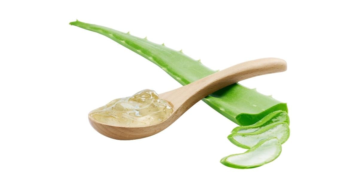 effective-plant-based-strategies-to-improve-digestive-problems-Jun-29-2023-04-10-57-1318-AM