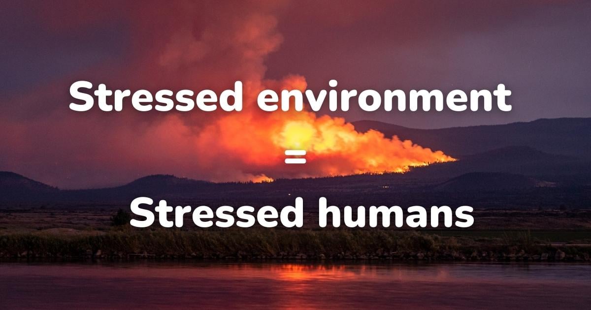 stressed-environment-equals-stressed-humans-assuaged