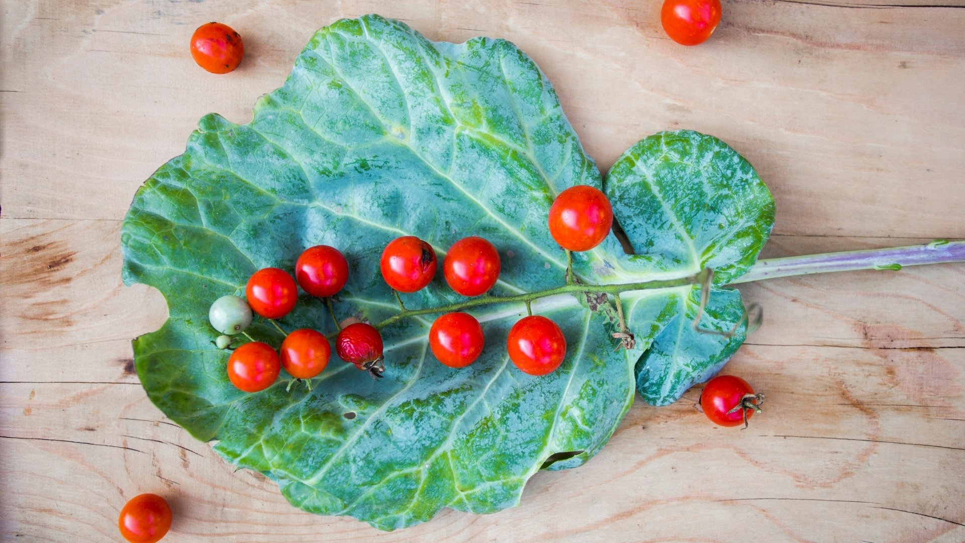 Assuaged-Collard-Green-Leaf-with-Tomatoes-Image