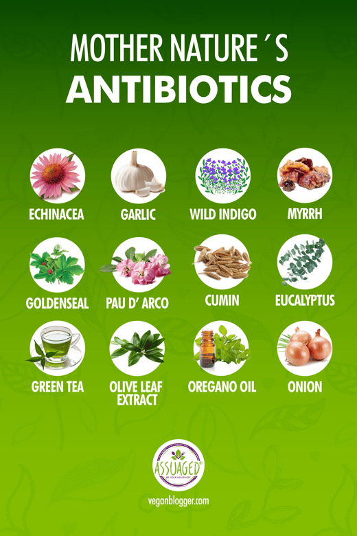 Mother-Natures-Antibiotics-Blog-800x1200