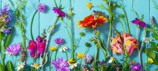May-Flowers-Landscape-Assuaged-Newsletter