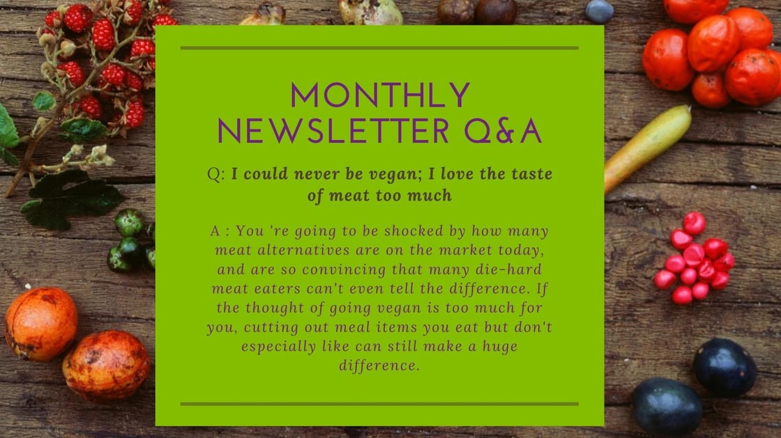 Monthly-Newsletter-Q&A