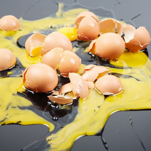 why-dont-vegans-eat-eggs-newsletter