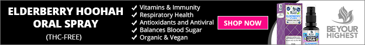 Elderberry-Vitamin-Immunity-Hoohah-Oral-Spray-Be-Your-Highest-Assuaged-728X90