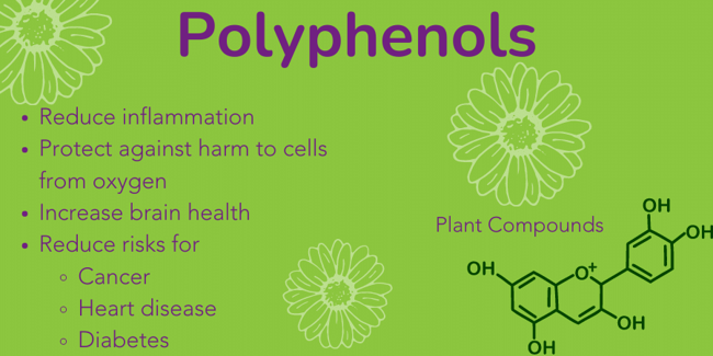 what-are-polyphenols-infographic