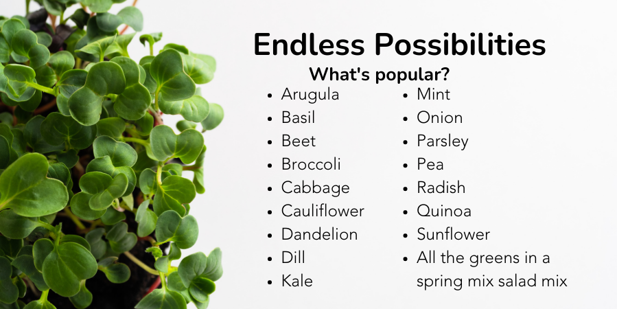 popular-microgreen-varieties-endless-possibilities