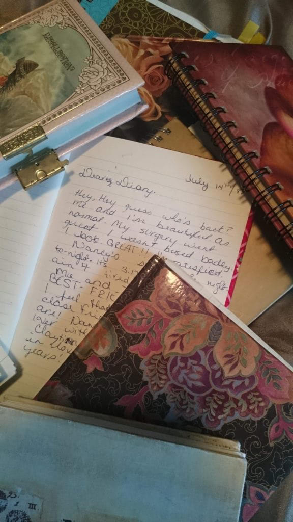 long time diary and notebooks