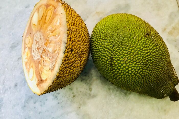 unripe-jackfruit-meat-alternative