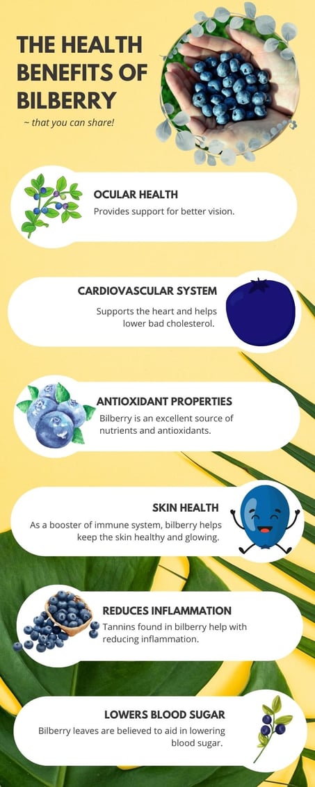 The Health Benefits of Bilberry-1