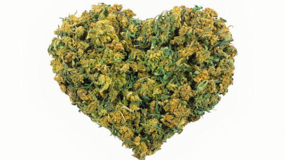 heart made of marijuana weed buds