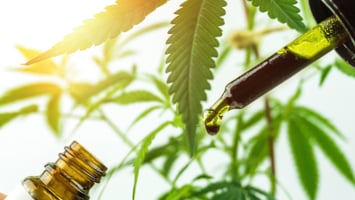 Asking the Right Questions with Alternative Healing Practitioners
