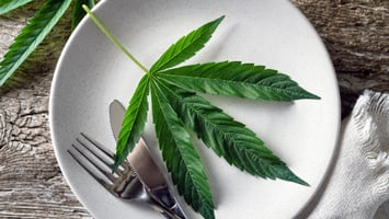 MJ-Leaf-served-on-plate-MJ-coconut-oil-recipes-4/20-celebrate-at-home