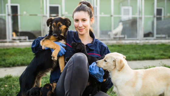 woman adopting dogs at animal shelter