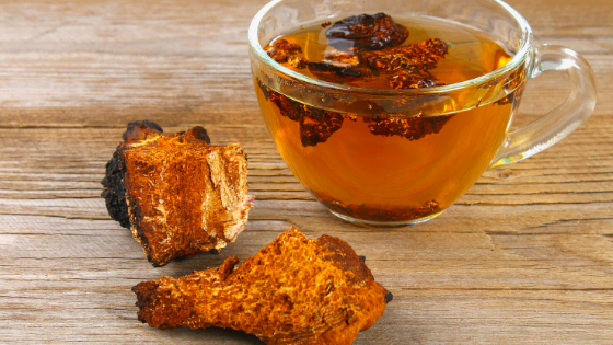 chaga mushroom tea in glass