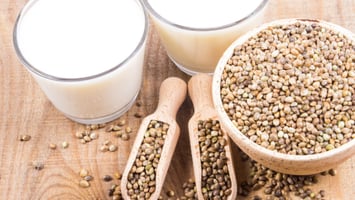 Hemp-seeds-and-hemp-milk-fresh-and-homemade