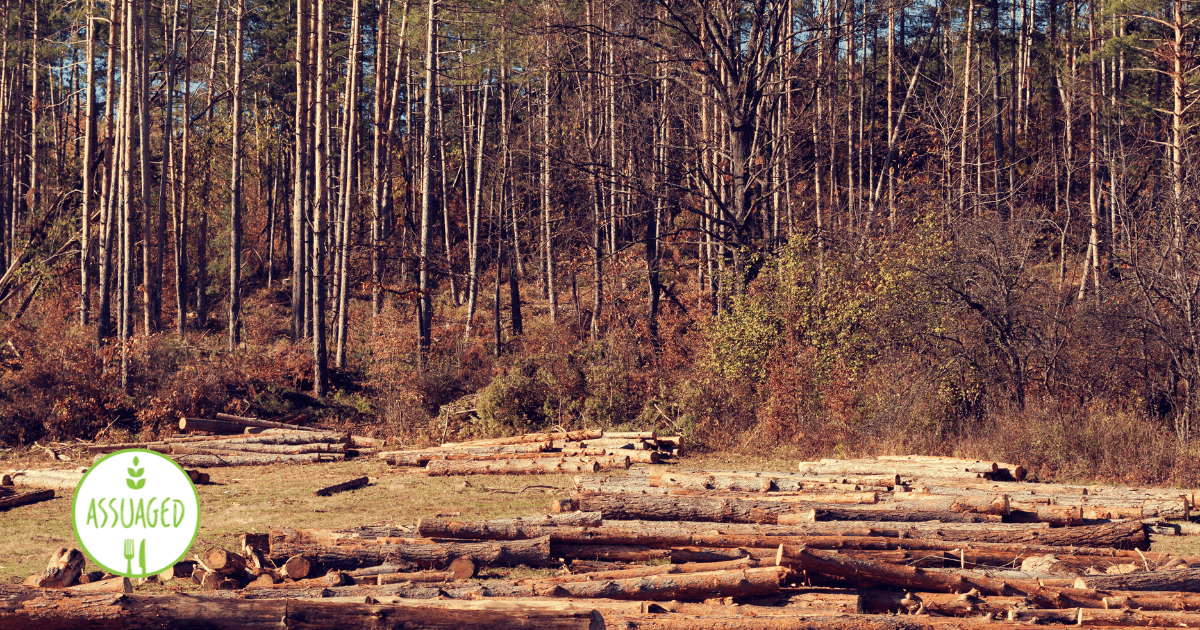 Deforestation- Industrial -Livestock-farming