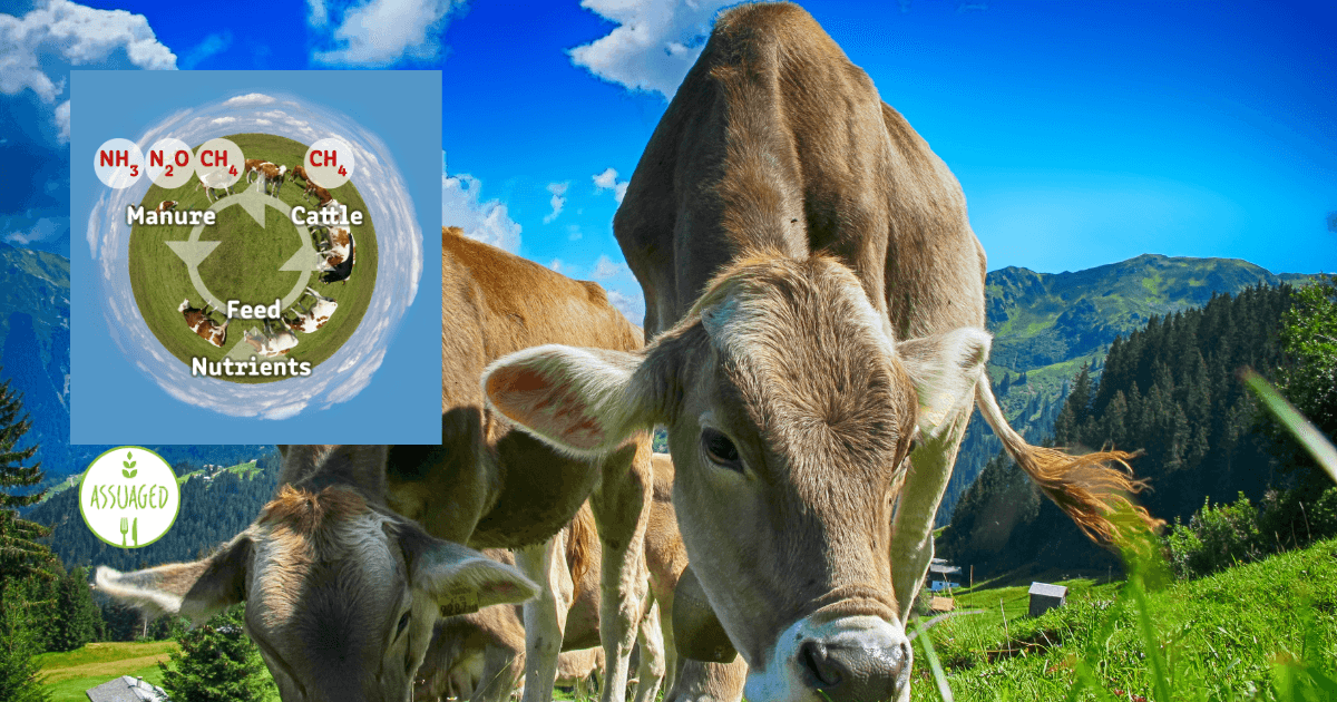Greenhouse-Effect- Industrial -Livestock-farming