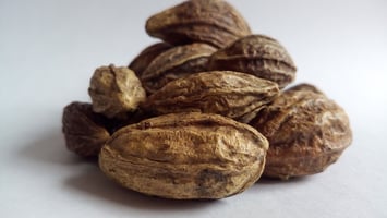 haritaki-a-healthy-ayurvedic-supplement-for-digestion