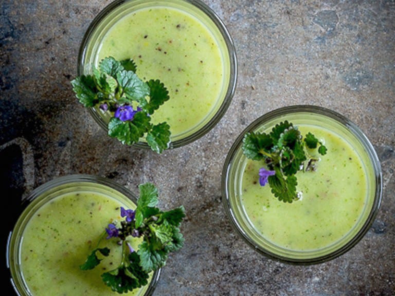Moringa Probiotic Smoothie